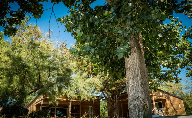 Vue extérieure du chalet de plein air du camping Lou Labech à Bouzigues