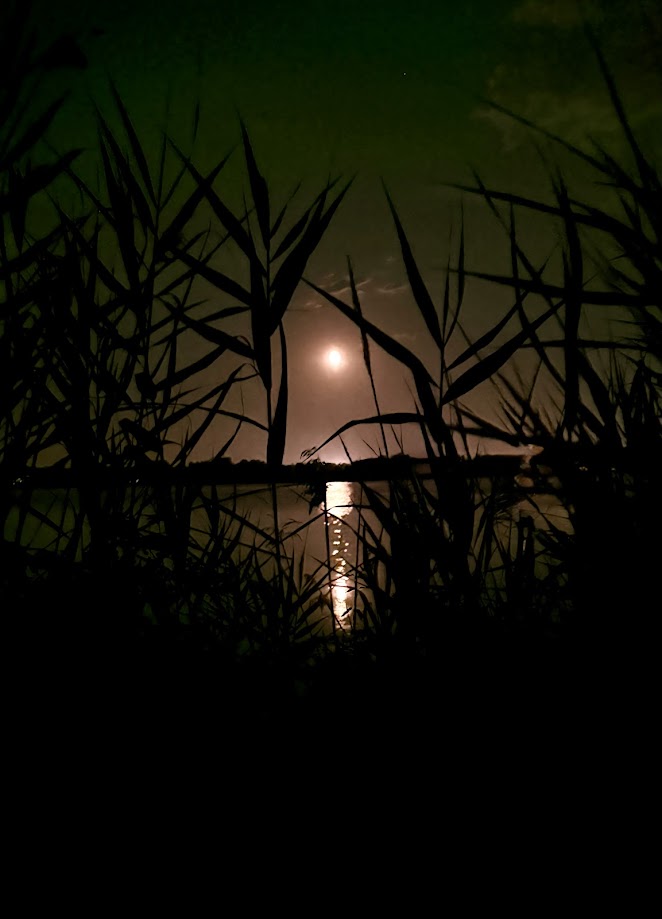 Camping Lou Labech au bord de l'étang de Thau, le soir