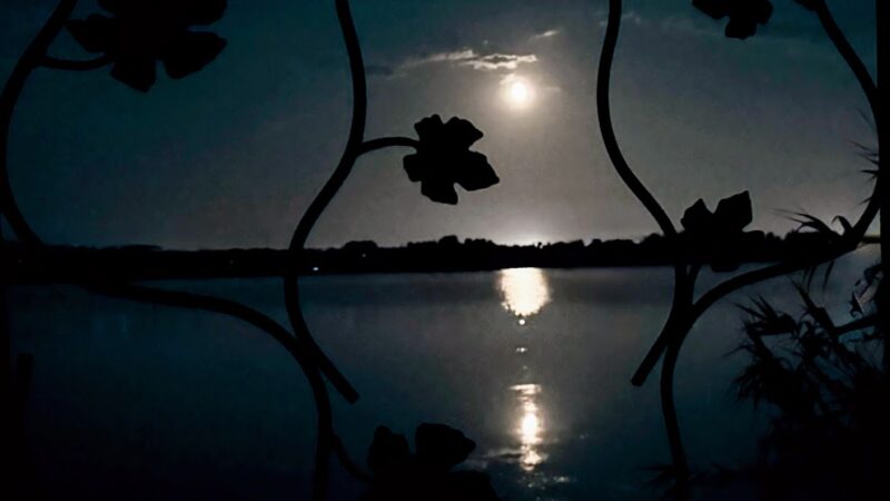 L'Etang de Thau la nuit