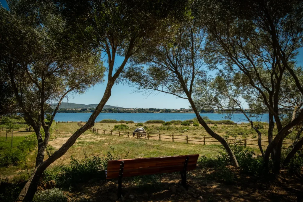 Emplacement camping pour tente, caravane et camping-car, du camping 3 étoiles Lou Labech à Bouzigues