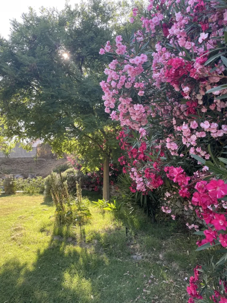 Slow tourisme au camping Lou Labech, camping 3 étoiles à Bouzigues dans l'Hérault