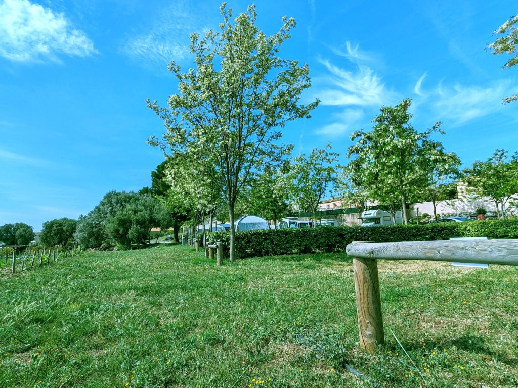 PXL_20230429_084210060